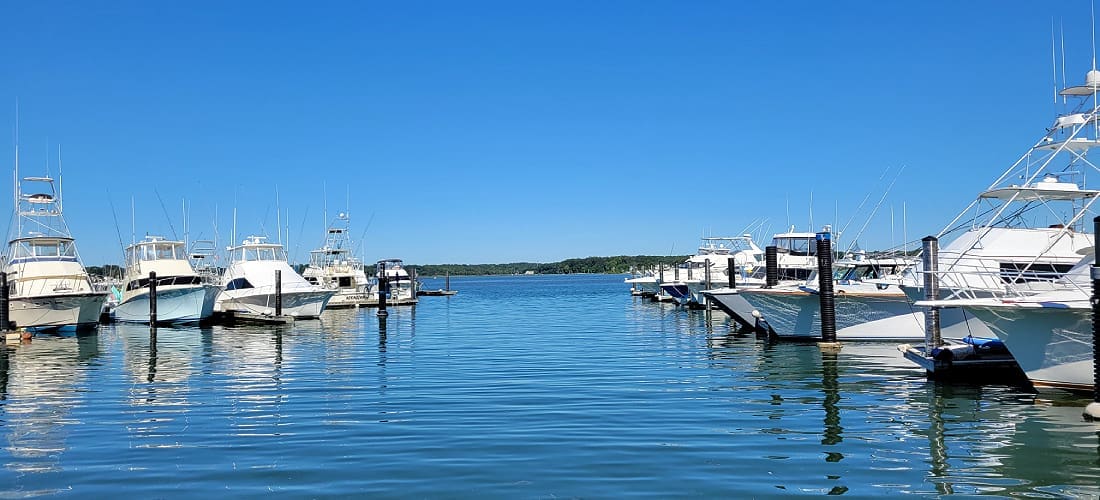 Belmar NJ web design services helping local businesses build a stronger online presence
