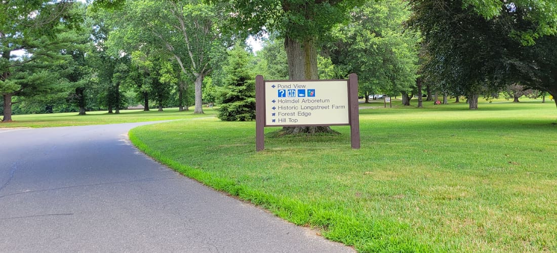 Holmdel NJ web design services helping local businesses build a professional online presence